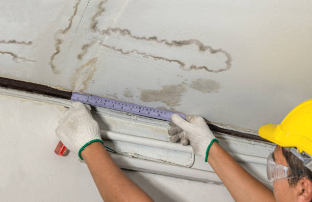 Reliable Flood Cleanup contractor in Pemberville, OH by Water Damage Irwin